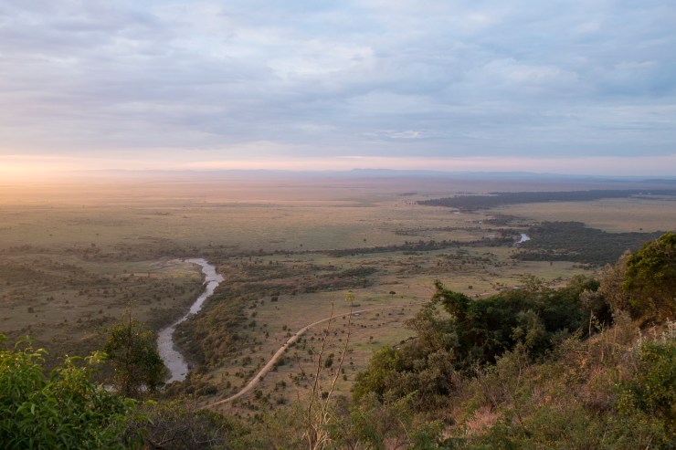Masai Mara, Kenia