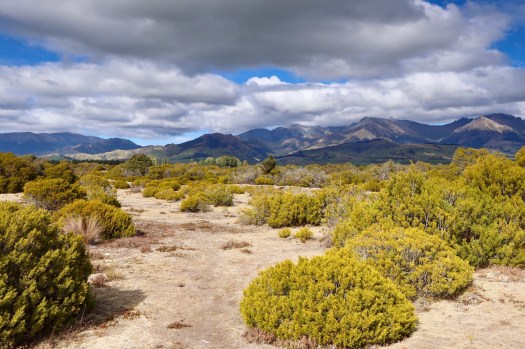 Wilderness Scientific Reserve