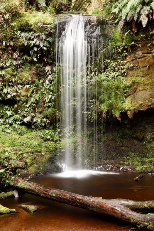 92BBB055-9B03-426E-9ADE-B98AB73528F5